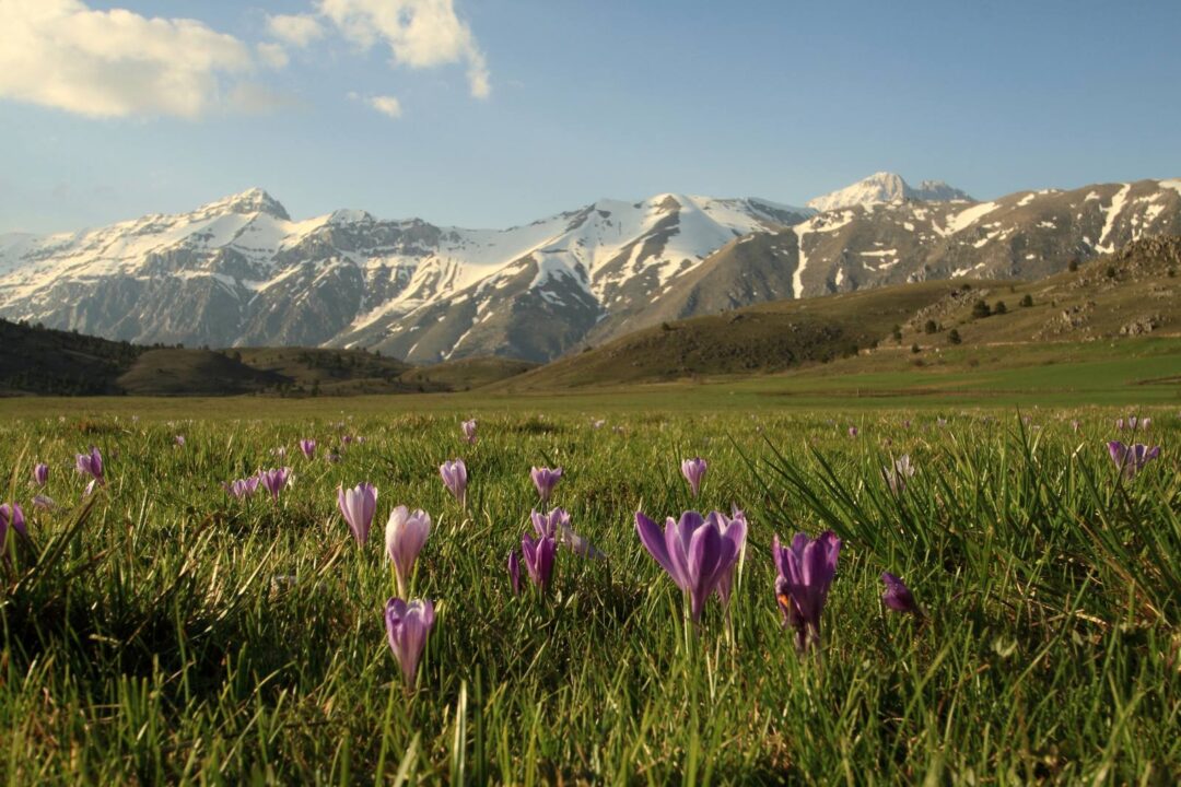 Marco Equizi - La montagna del sud